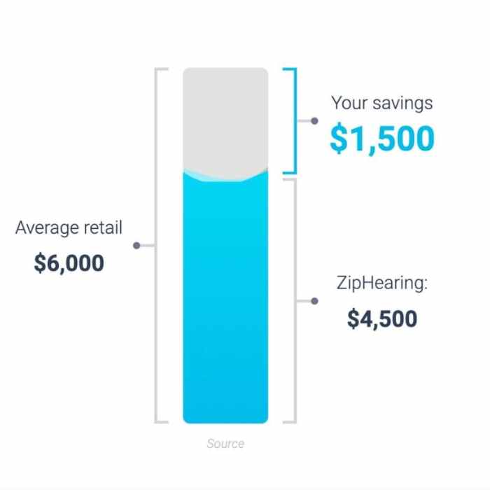 ZipHearing Review Here’s How It Actually Works